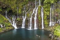 Ã‰clatante RÃ©union
