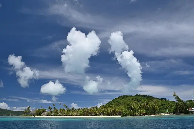 À la découverte des traditions culinaires des îles du Pacifique