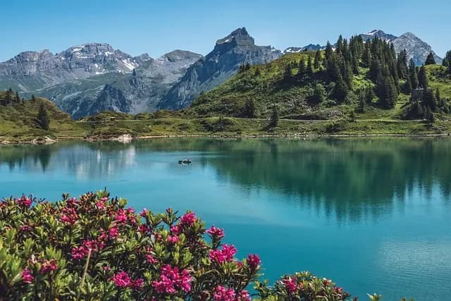 Découverte des merveilles cachées en Suisse