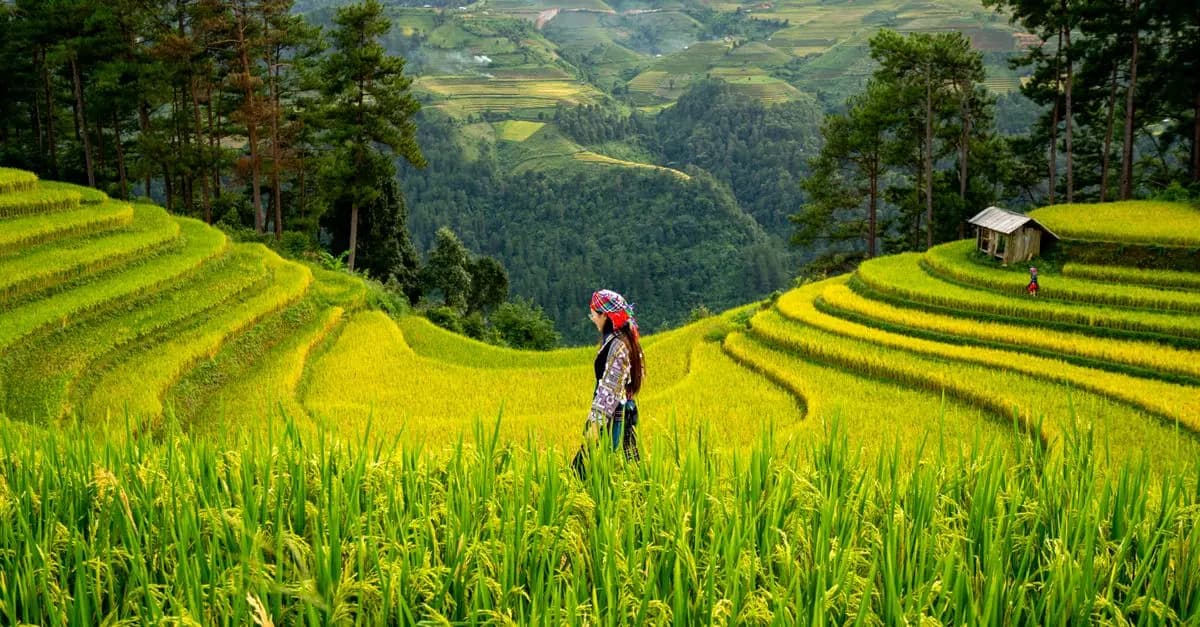 Voyager éthique : Les pratiques à adopter pour un tourisme responsable