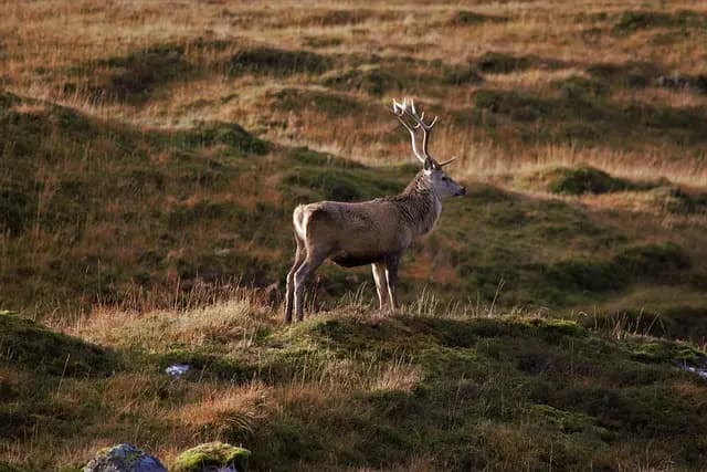 Les plus belles merveilles naturelles à découvrir dans le monde