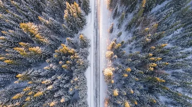 Comment découvrir les trésors cachés lors de vos voyages