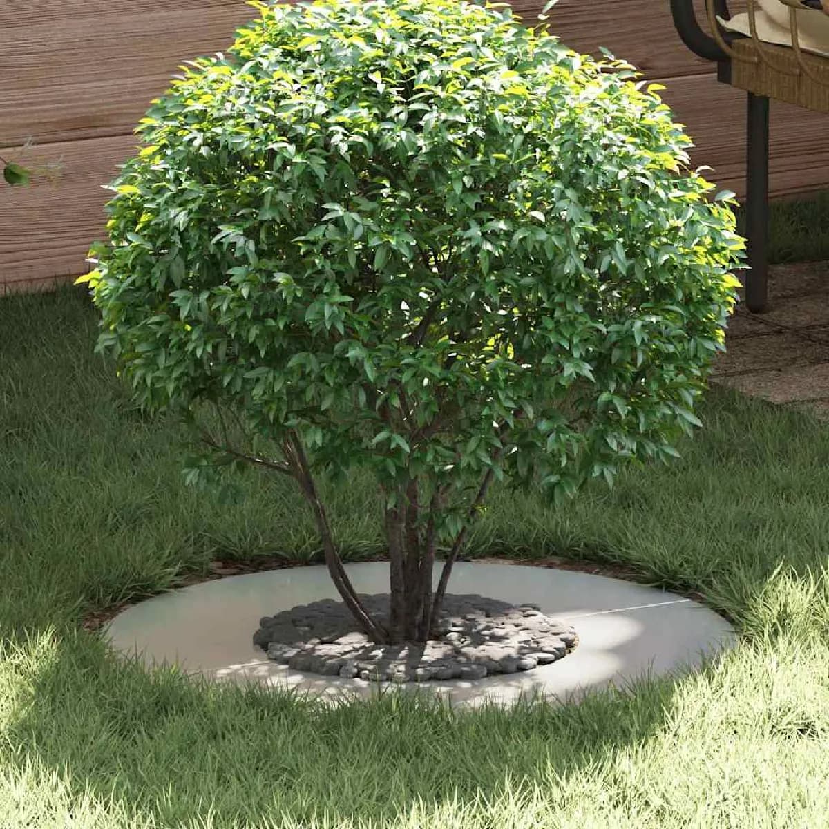 vidaXL adapté pour anneau d'arbre plat Argent Ø30 / 60 cm
