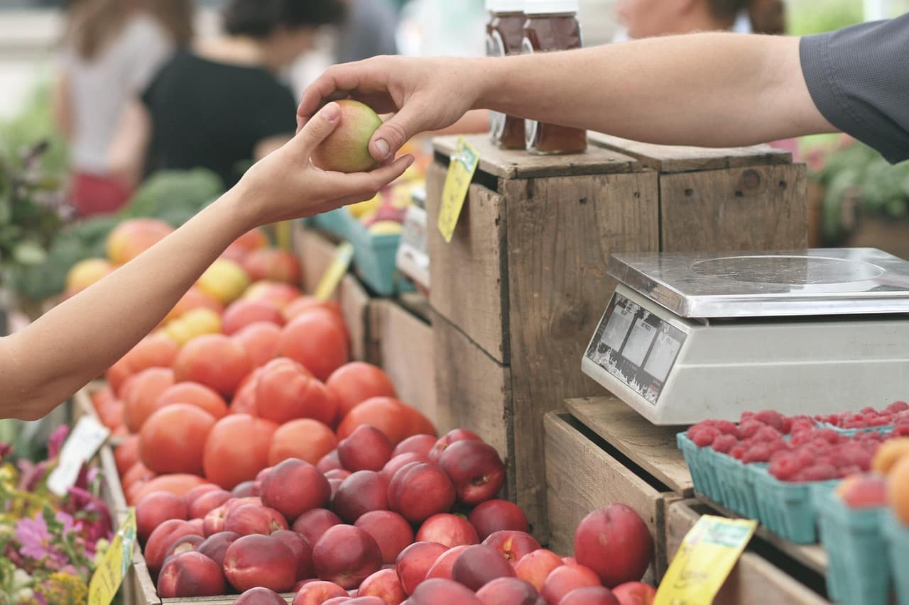 Guide pratique pour découvrir les traditions culinaires locales